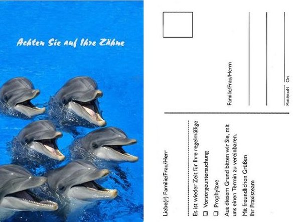 Recall-Karte "Delphin" - 150 Stück